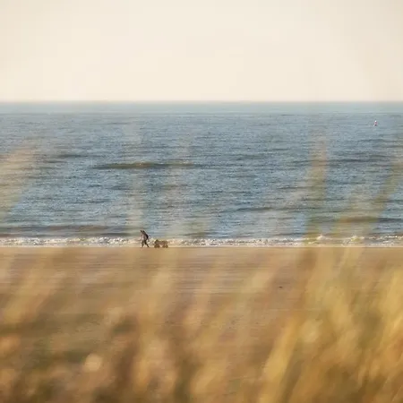 Appartementhaus Westerloog 08-balkon Appartement *