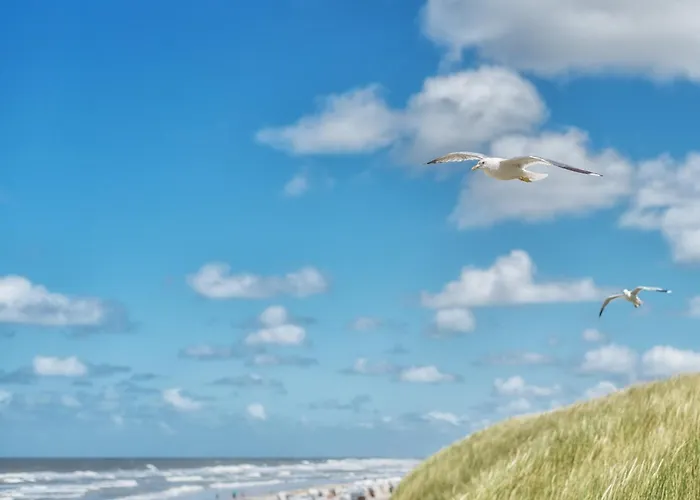 Appartementhaus Westerloog 08-balkon * Шпикерог